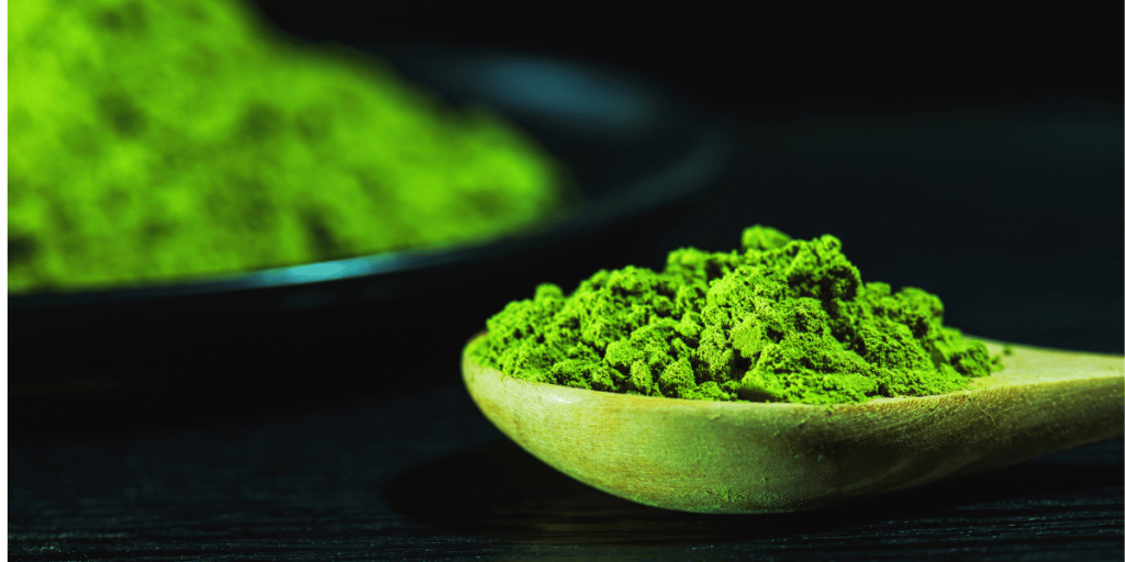 Does Matcha Break Your Fast Or Affect Autophagy?